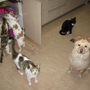 der Futterschrank !!!