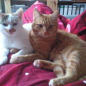 rayn und ramira in poserstellung