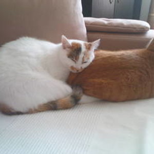 rayn und ramira kuscheln