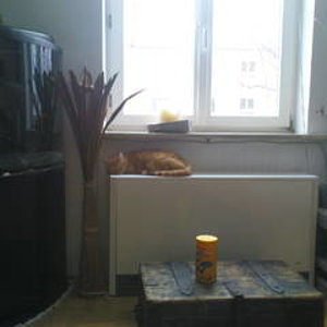 ryan auf der heizung