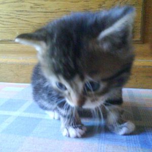 noch 8 Wochen, dann kann sie endlich bei uns einziehen