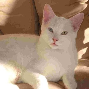 Gismo ist immer gut gelaunt