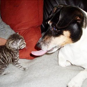 jacki mit kleiner katze 3