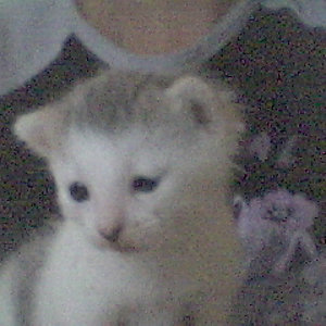 das ist unser pascha