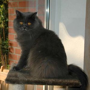 Floyd mit einem "Schmachtblick".