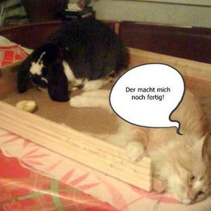 Terapiehase Alfred von meiner Mama und ihr ganzer Stolz Eggi (Egbert von der Ellernaue)