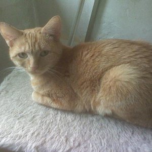 Da war Lilly noch nicht kastriert