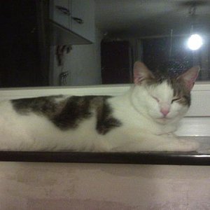 Das war Speedy erstes Tag bei uns!