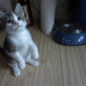 Das waren Casimir`s erste Tage bei uns!