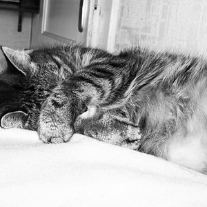 SDC10161 Gordy Weck mich ja nicht!