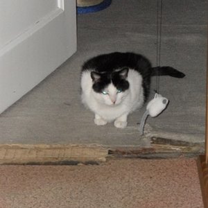 SDC10109 Pünktchen wartend auf Mama