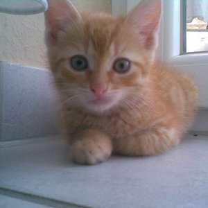 Der Morgen nach der ersten Nacht ;)