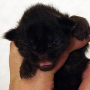 Mathilda am 14.12.08