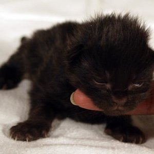 Mathilda am 15.12.08