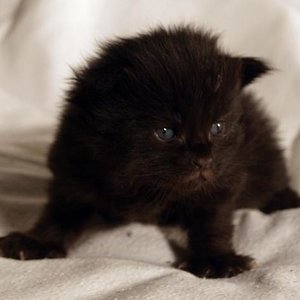 Mathilda am 27.12.08