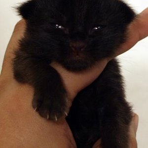 Mathilda am 15.12.08