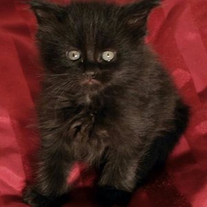 Mathilda am 19.01.2009