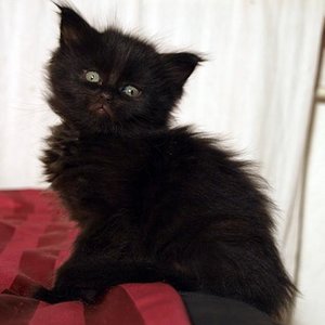 Mathilda am 19.01.2009