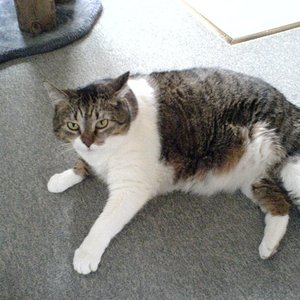 Sally verstorben 22.05.09