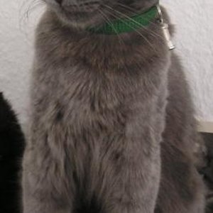 2009.02 (11)   Kopie