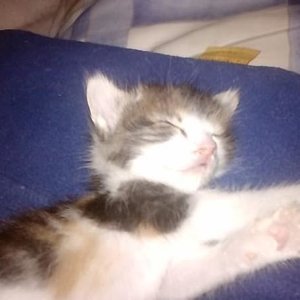 Einen Tag bevor sie uns verlies

11.06-07.07.09

In liebe deine Familie