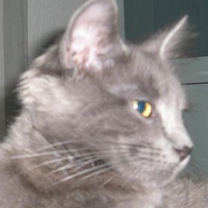 02 2009 (11)   Kopie