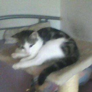 Timmy fast 4 Monate jung