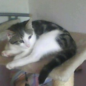 Timmy fast 4 Monate alt