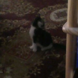 Er ist ein wenig Kamerascheu. Aber sehr Fotogen, oder? hihi.