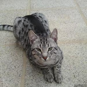 he he Der kleine freche felix :) nur mist im kopf :D aber nen ganz hübscher