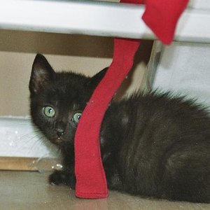 Ankunft im neuen zuhause