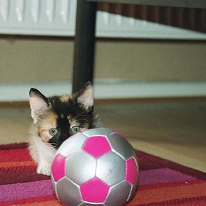 wenn ich groß bin, werde ich Fussballerin