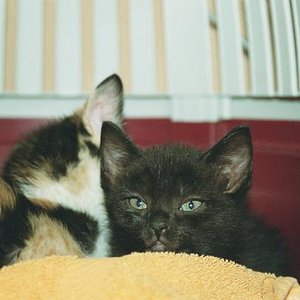 ich bin das Böse ;-D