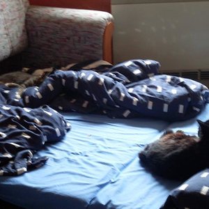 Und doch können sie nicht ohne einander