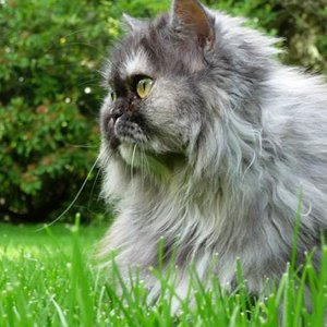 bin ich schön!!!!!!