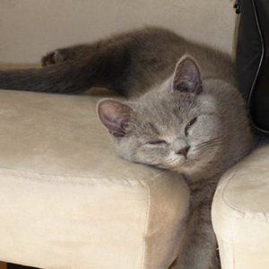 die allerneueste Schlafhaltung......superbequem