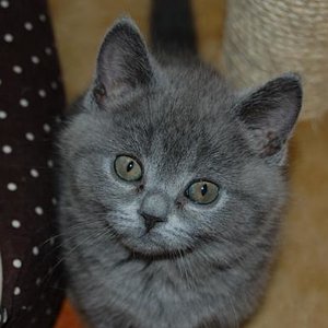 ich bin neu hier....mal sehen wie ich mich hier einlebe