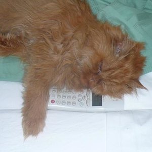 Luise telefoniert 11