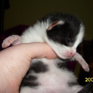 Das ist die Luna.... (die süßeste)