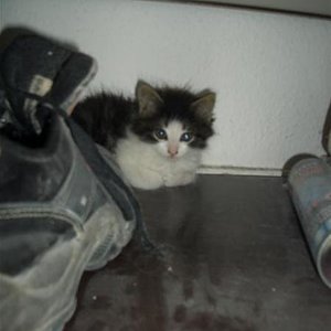 mein lieblingsversteck