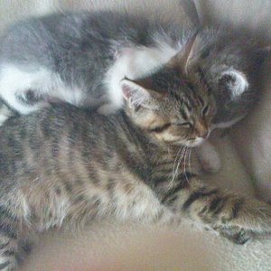 Erste Kuschelversuche