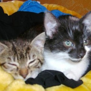 Unser erster Tag bei Mama