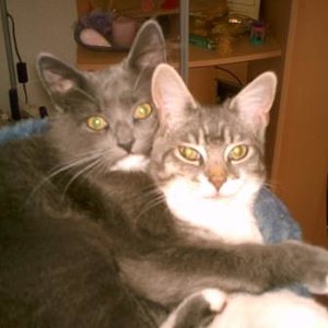 Muss Liebe schön sein :-)