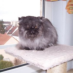 Eine Stunde vor seiner letzten Reise