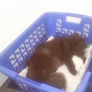 sind se nicht süß die beiden