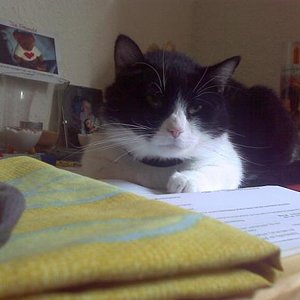 Machst du das auch alles richtig?