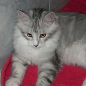 Angel mit 5,5 Monaten