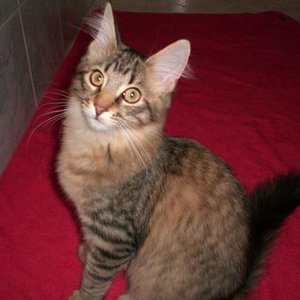 Shadow mit 5,5 Monaten