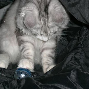 Angel beim Spielen im Rascheltunnel