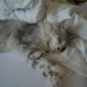 Angel hat sicht im Bett gemütlich gemacht ^^